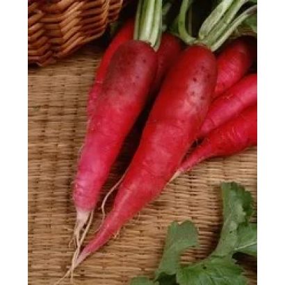 Red radish on woven mat - Carmina