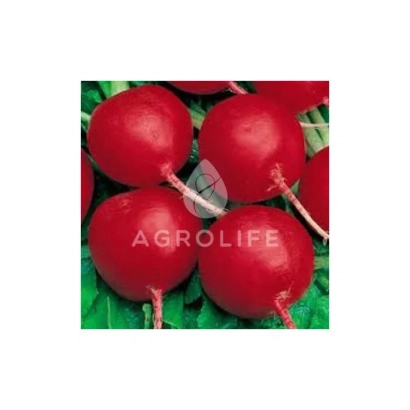 Красные редиски на зелёных листьях с логотипом AGROLIFE - Клария