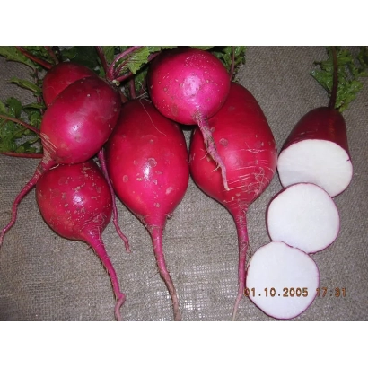 Свежие красные редисы с зелеными листьями и нарезанными белыми дольками на грубой ткани - Красавица Подмосковья