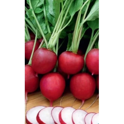 Fresh Red Army radish with green tops and sliced pieces