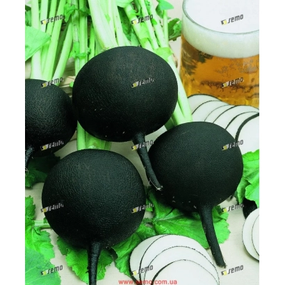 Черные редисы с зелеными листьями и нарезанными кольцами на фоне - КУЛАТА