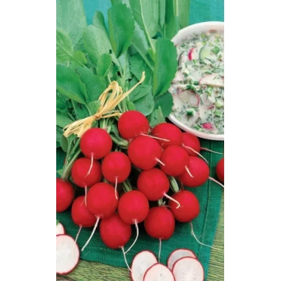 Свежий редис с зеленью и нарезанным корнеплодом - ЛЕТНЯЯ ОКРОШКА