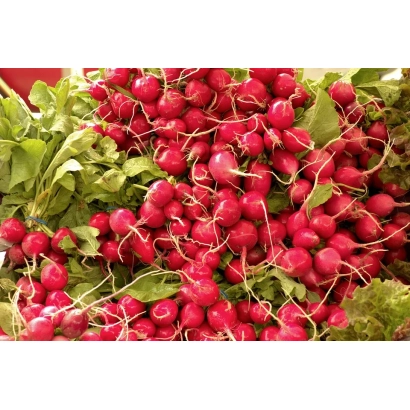 Свежий редис Мереф'яночка на зеленой подложке