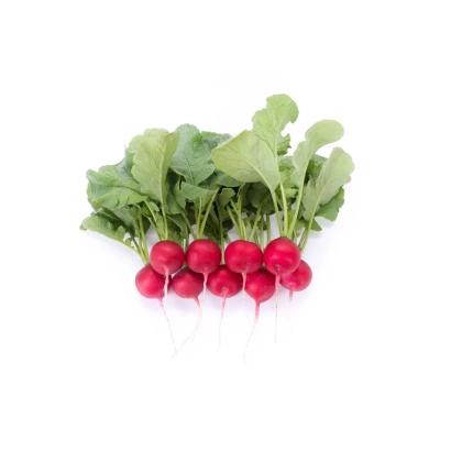 Свежая редиса с зелеными листьями на белом фоне - Мондиал РЗ F1