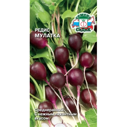 Seed packet of radish Mulatka with image of fresh dark red root vegetables.