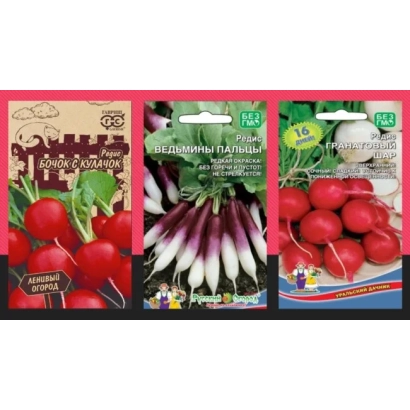 Seed packet of radish variety MEMORY OF DOBRUČKA with image of red root vegetables