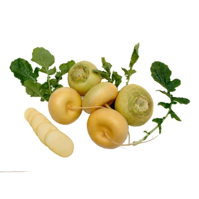 Свежий редис с зелеными листьями на белом фоне - Петровская 1