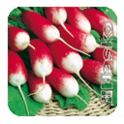 Пакет семян редиса Пикник