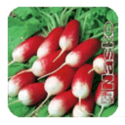 Семена редиса Герда на фоне зелени