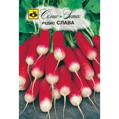 Насіння редис Слава на упаковці