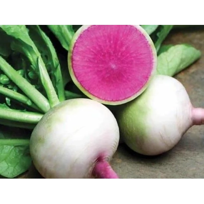 Свежий редис с зелеными листьями, один корнеплод разрезан пополам, показывая ярко-розовую мякоть. - СТАРБЕРСТ