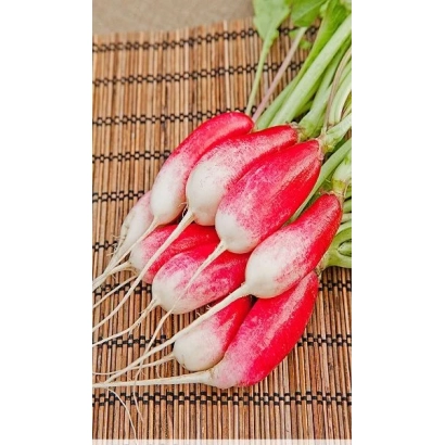 Свежие редиски на бамбуковой подложке - Старт