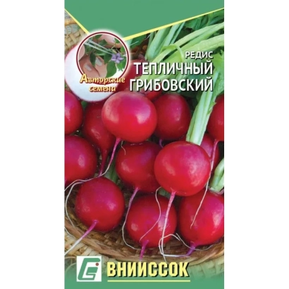 Seed packet of radish Greenhouse Gribovsky - GREENHOUSE GRIBOVSKI