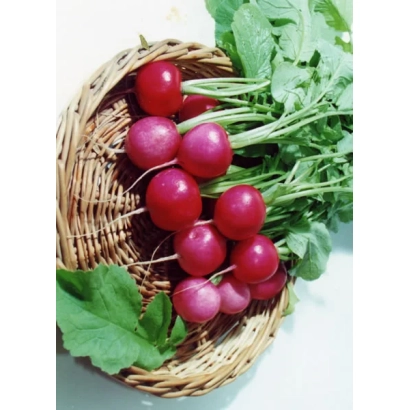 Корзина с красной редькой и зелёными листьями - Вариант