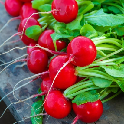Свежие красные редиски с зелеными листьями - Виенна