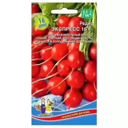 Seed packet of radish «EASTERN EXPRESS» with image of red root vegetables