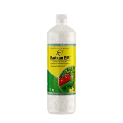 Bottle of Baykan EM with tomato image and green background - EM-1 Effective Microorganisms