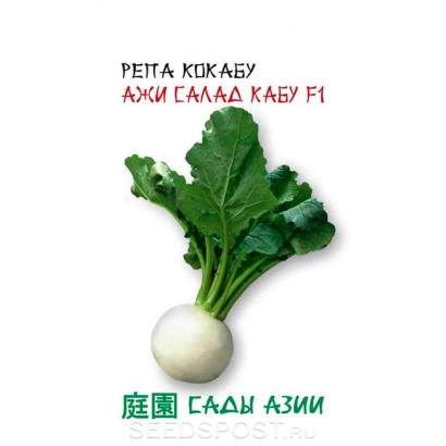 Семена репы Ажи Салад Кабу F1