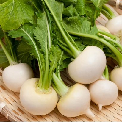 Свежая репа Гейша в плетёной корзине