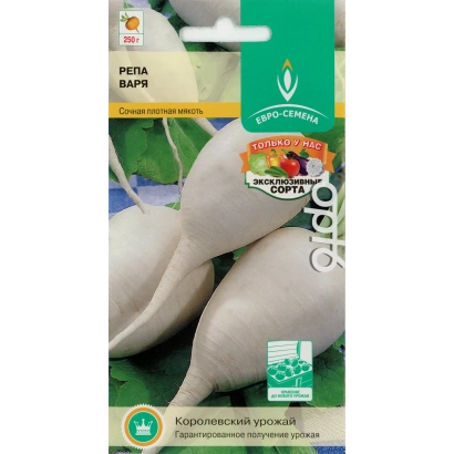 Семена репы сорта ВАРЯ на зеленом фоне