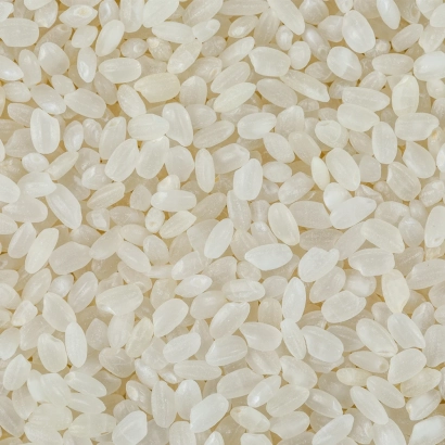 Рис, крупный план зерен белого риса - Контакт