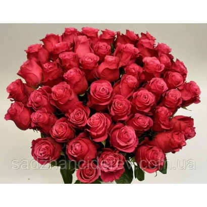 Букет красных роз - Схоюри