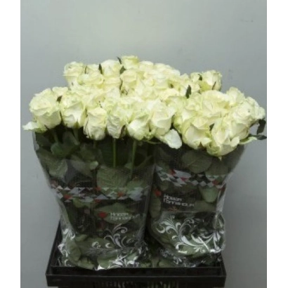 Букет белых роз в упаковке - ВАЛЕНТИНА ЛЕНИНГРАДСКАЯ