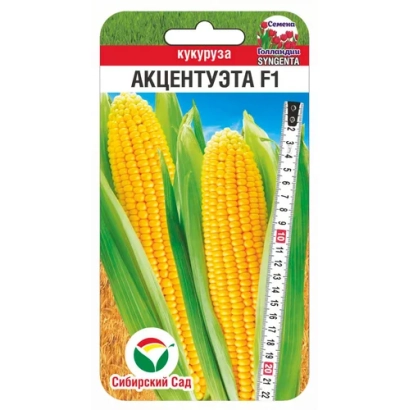 Пакет насіння цукрової кукурудзи АКЦЕНТУЕТА Р1