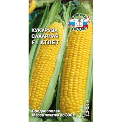 Пакет семян сахарной кукурузы Атлет с изображением початков