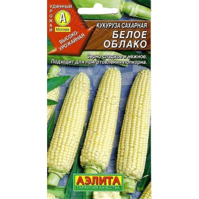 Seed packet of sugar corn WHITE CLOUD