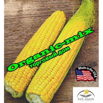 Два початка сахарной кукурузы Organic-mix на деревянной поверхности - HMX 2390 F1