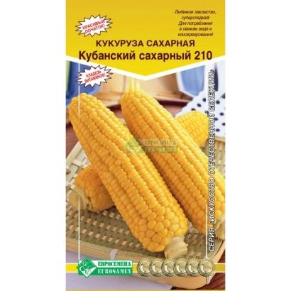 КУБАНСКИЙ САХАРНЫЙ 210