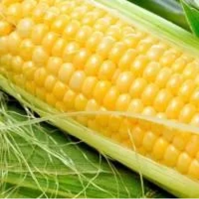 Желтая кукуруза в шелухе - Людмила СВ