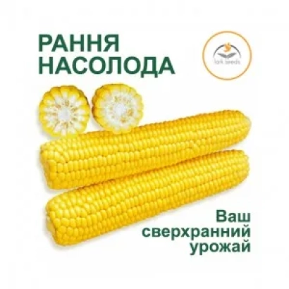 Свежая сахарная кукуруза Насолода с логотипом бренда