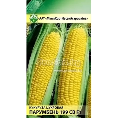 Насіння цукрової кукурудзи ПАРУМБЕНЬ 199 СВ на зеленому фоні
