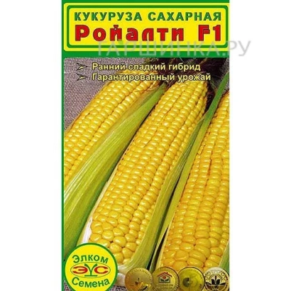 Seed packet of sugar corn Royalti F1