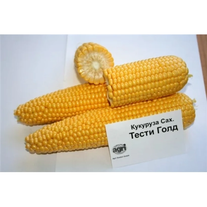Yellow corn variety Testi Gold on white background with label