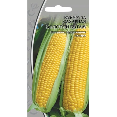 Seed packet of sweet corn GOLDEN BATAM