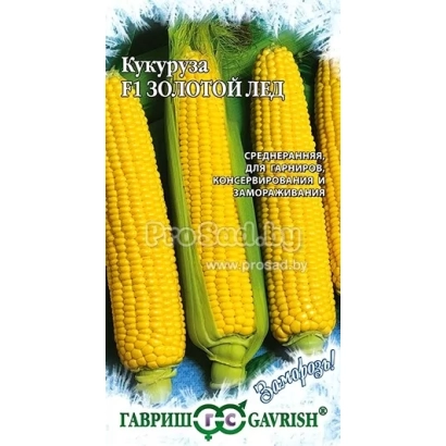 Пакет семян кукурузы ЗОЛОТОЙ ЛЕД с изображением трёх початков