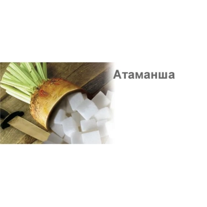 Свекла сорта Атаманша с кубиками сахара
