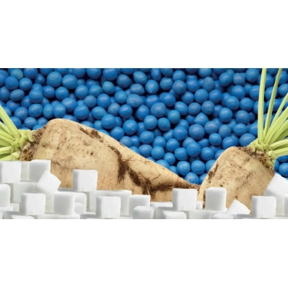 Свекла и сахарные кубики на фоне синих шариков - ЭКСПЕРТ