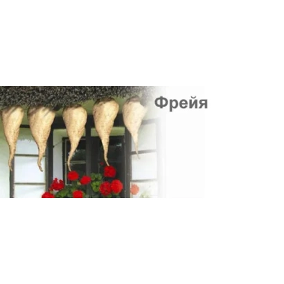 Декоративные подвесные кашпо с надписью Фрейя