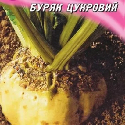 Семена сахарной свеклы с надписью БУРЯК ЦУКРОВИЙ - Гелиос