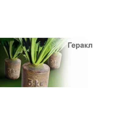 Семена сахарной свеклы Геракл в бумажных пакетах