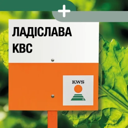 Мешок с семенами сахарной свеклы ЛАДИСЛАВА КВС от KWS