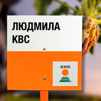 Мешок с семенами сахарной свеклы ЛЮДМИЛА КВС от KWS