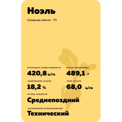 Семена сахарной свеклы Ноэль, сорт среднеспелый технический - Ноель