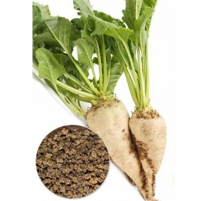 Сахарная свекла RMS 70 с семенами - РМС 70