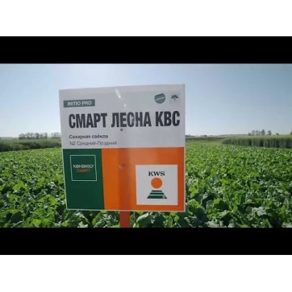 Знак с надписью СМАРТ ЛЕСНА КВС на фоне поля