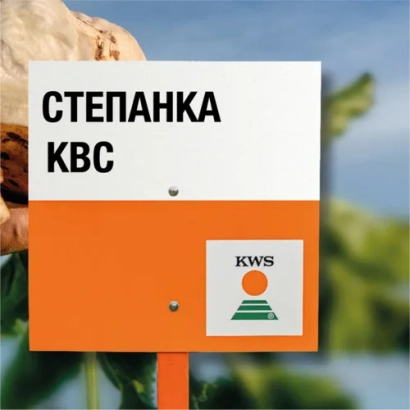 Sign with text STEPANKA KWS and KWS logo against a sugar beet background